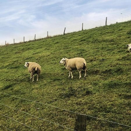 Hoeve Alegria Hoogwoud Eksteriør bilde